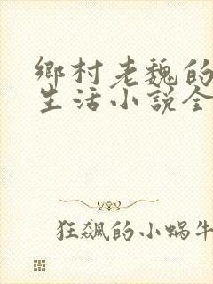 乡村老魏的幸福生活小说全文阅读封面