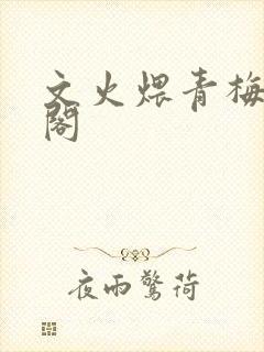 文火煨青梅笔趣阁封面