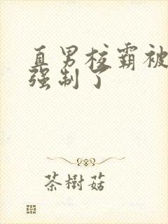 直男校霸被疯批强制了