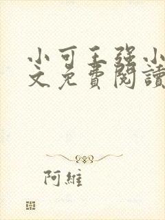 小可王强小说全文免费阅读封面