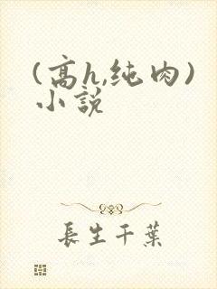 (高h,纯肉)小说