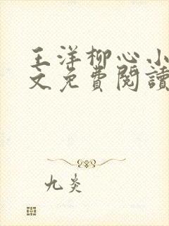 王洋柳心小说全文免费阅读