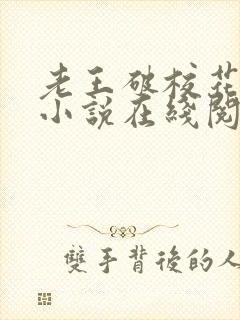 老王破校花沈瑶小说在线阅读