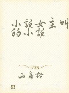 小说女主叫林妍的小说