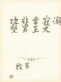 攻非常宠溺受的双男主文