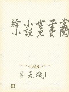 给小世子当后妈小说免费阅读全文