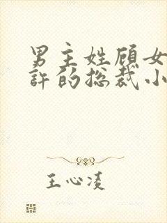 男主姓顾女主姓许的总裁小说