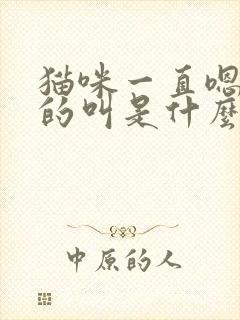 猫咪一直嗯嗯嗯的叫是什么意思