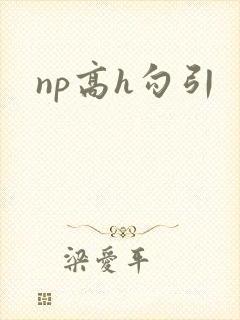 np高h勾引封面