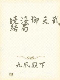 晓浅御天武帝大结局