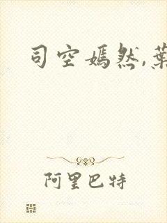 司空嫣然,叶凡封面