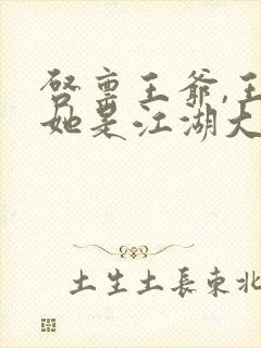 启禀王爷,王妃她是江湖大佬全文免费阅读封面