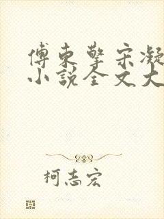 傅东擎宋凝林阑小说全文大结局封面