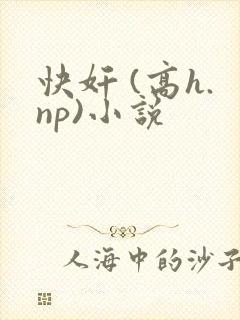 快奸 (高h.np)小说