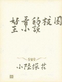 好看的校园双男主小说