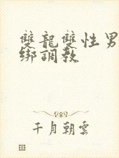 双龙双性男男捆绑调教