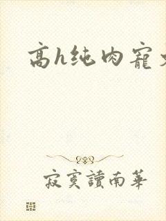 高h纯肉宠文