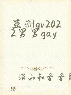 亚洲gv2022男男gay
