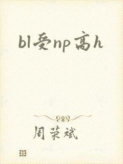 bl受np高h封面