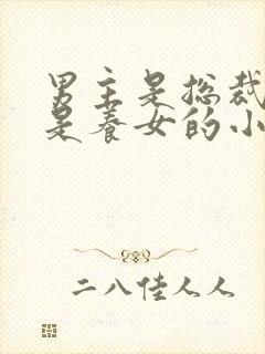 男主是总裁女主是养女的小说封面