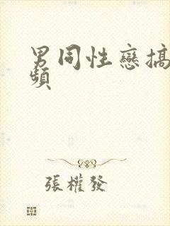 男同性恋搞基视频封面