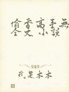 偷香高手无删减全文 小说