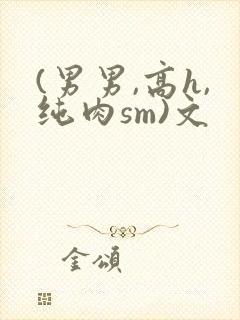 (男男,高h,纯肉sm)文