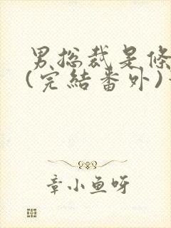 男总裁是条骚狗(完结番外)笔趣阁小说