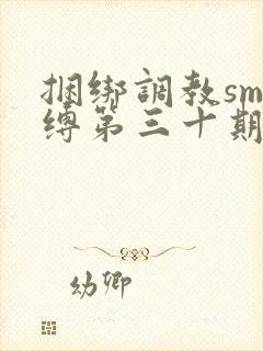 捆绑调教sm束缚第三十期封面