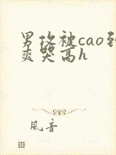 男攻被cao到爽哭高h