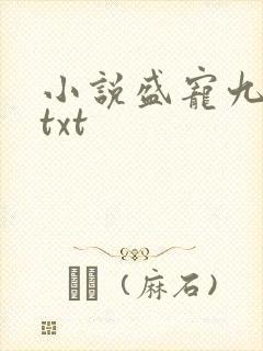 小说盛宠九皇妃txt