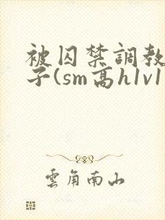 被囚禁调教的日子(sm高h1v1