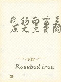 我的白富美老婆原文免费阅读