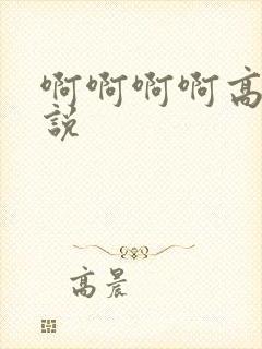 啊啊啊啊高h小说