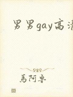 男男gay高清