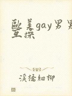 欧美gay男男互操封面