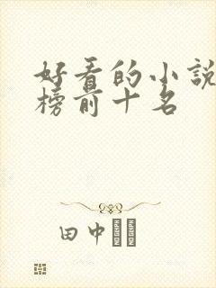 好看的小说排行榜前十名封面