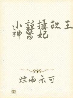 小说摄政王的战神医妃