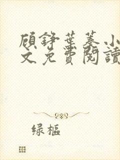 顾铮叶蓁小说全文免费阅读无弹窗