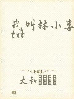 我叫林小喜小说txt