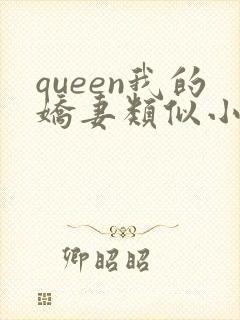 queen我的娇妻类似小说