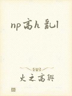 np高h 乱l
