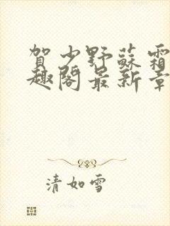 贺少野苏霜降笔趣阁最新章节更新时