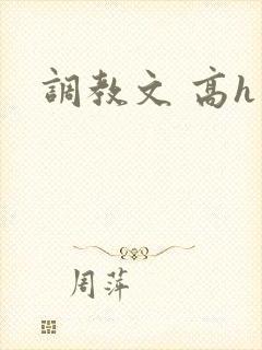 调教文 高h