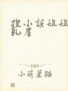 捏小说姐姐的大乳房封面