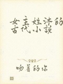 女主姓沐的重生古代小说封面