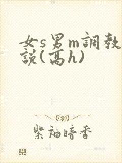 女s男m调教小说(高h)