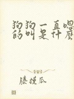 狗狗一直嗯嗯嗯的叫是什么意思