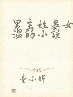 男主姓晏女主姓温的小说