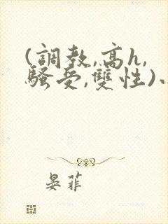 (调教,高h,骚受,双性)小说